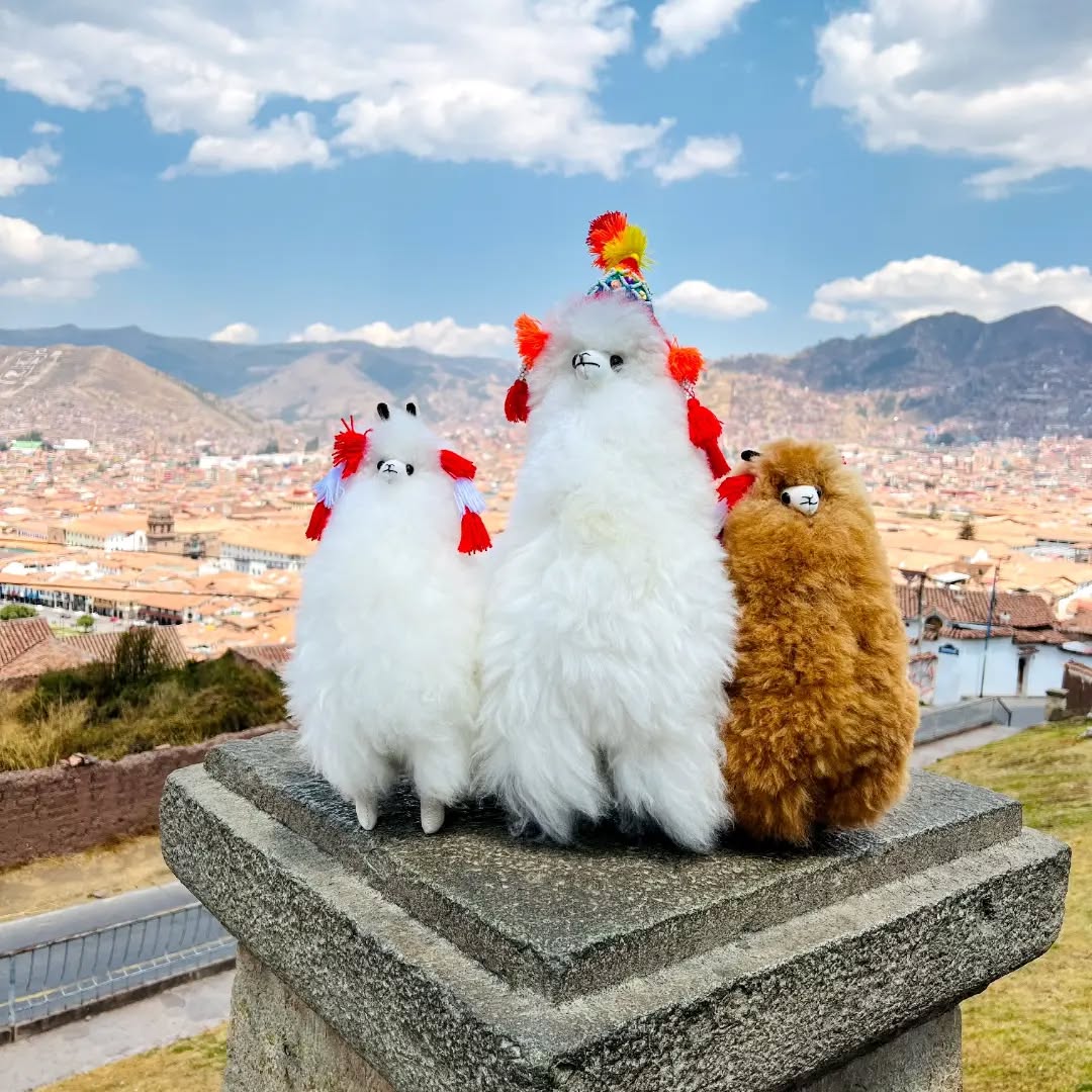 Recuerdo de Viaje - Artesanía Andina