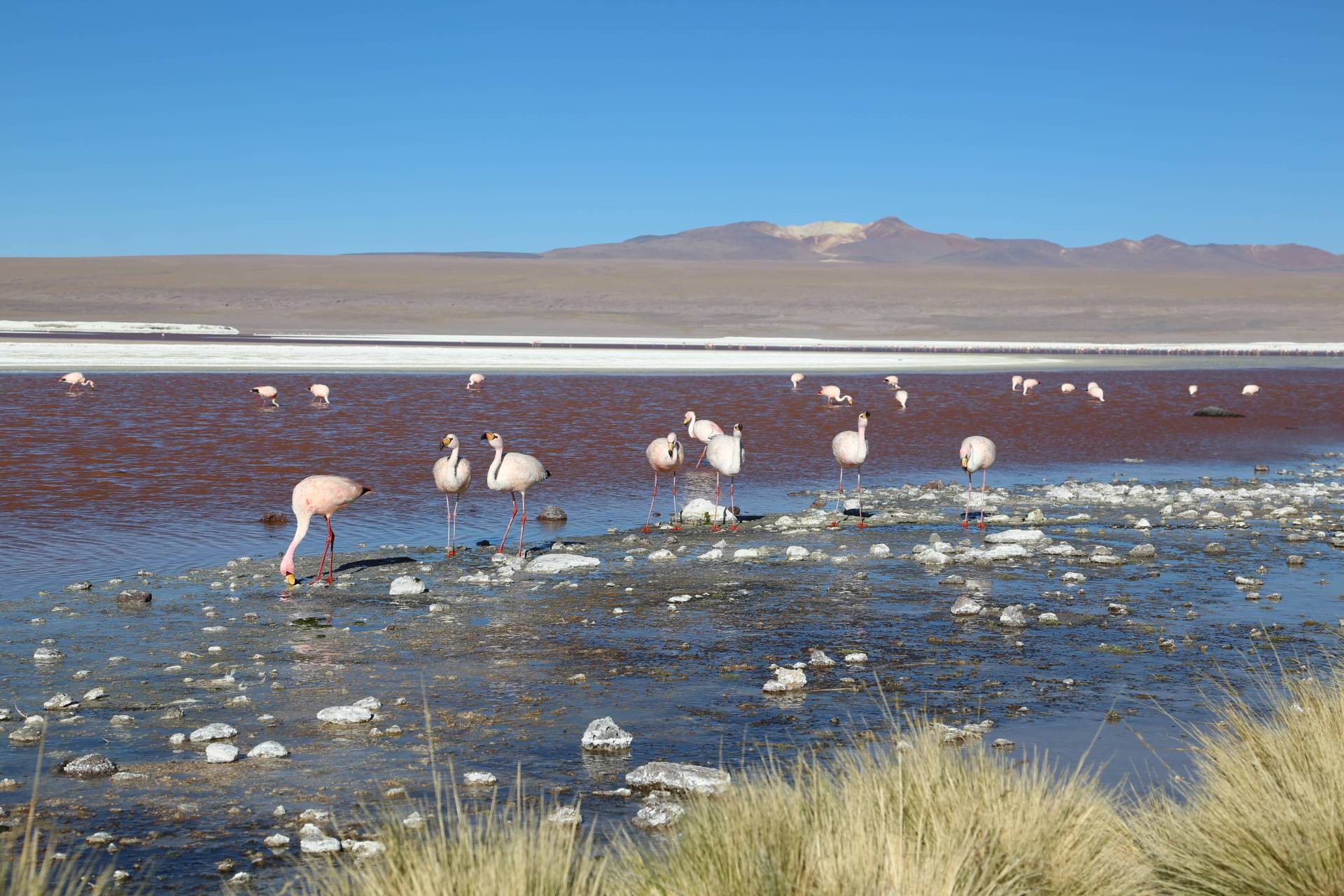 Peru y Bolivia, el Espiritu de los Andes 18 días